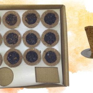 Dhuna Cups and Dhoop