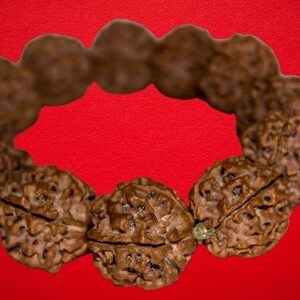 Rudraksha Malas
