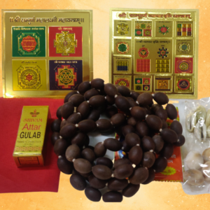Padmini Dhan Varsha Samagri Kit