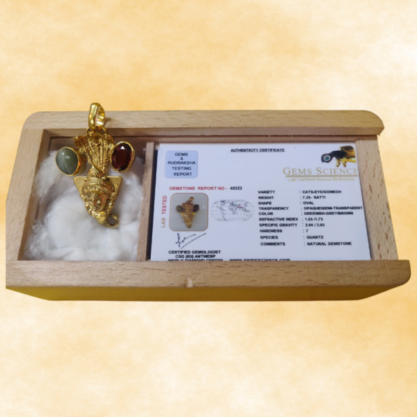 Martand Kavach - Image 2